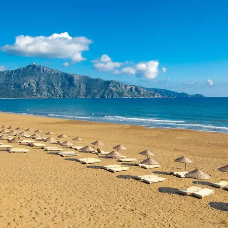 Emel Paradise * 무글라