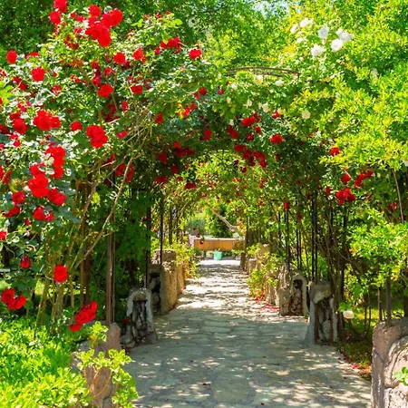 Emel Paradise